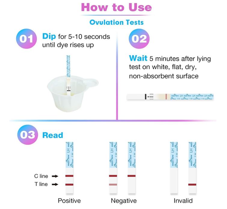 Ovulation Test Strips and Pregnancy Test Strips Combo Kit